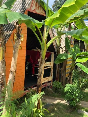 Beach Shack Chalet - Garden View Aframe Small Unit Kampong Juara 外观 照片